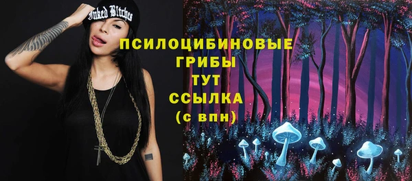 дурь Горно-Алтайск