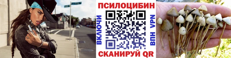 Галлюциногенные грибы мицелий  Псков 
